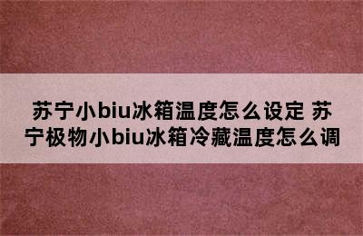 苏宁小biu冰箱温度怎么设定 苏宁极物小biu冰箱冷藏温度怎么调